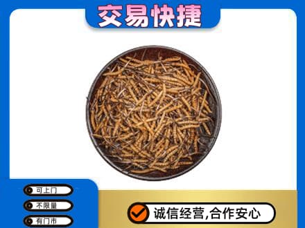 三门峡市渑池高价回收散虫草